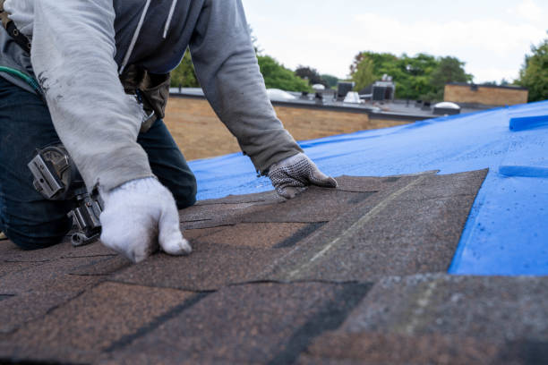Professional Roofing Contractor in St Marys, GA