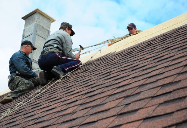 Best Roof Gutter Cleaning  in St Marys, GA